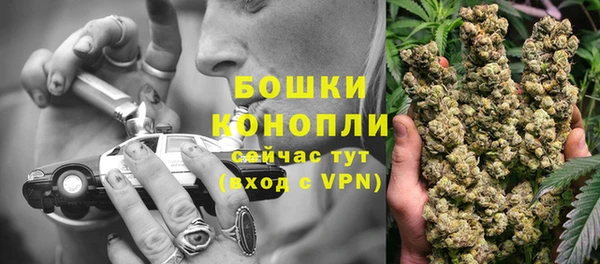 СК Бронницы