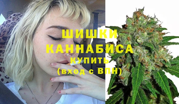 СК Бронницы