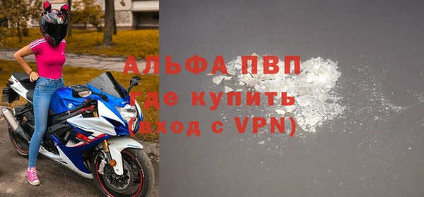 СК Бронницы