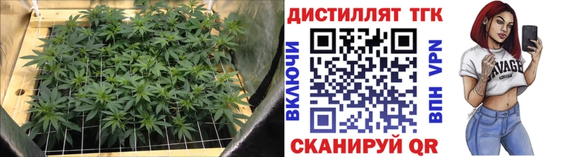 блэк спрут как зайти  Фатеж  Дистиллят ТГК вейп 